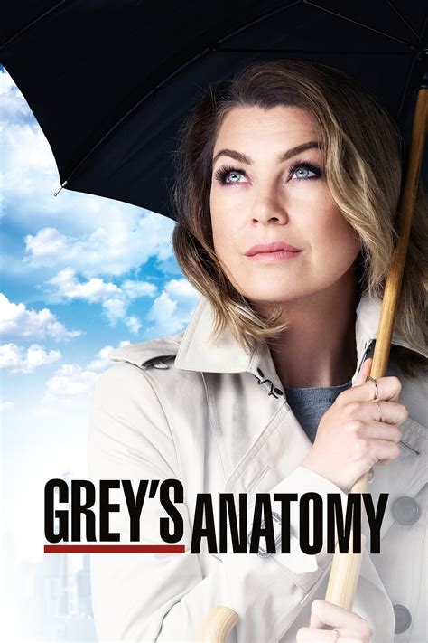 grey's anatomy season 04 fullrip